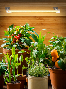 Фитолампа для растений с таймером накладная Огонек OG-LDP17